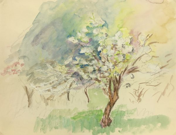 Trees Original Art - Verger, Etude Nature, C.1960