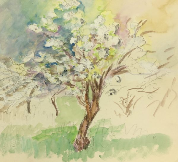 Trees Original Art - Verger, Etude Nature, C.1960