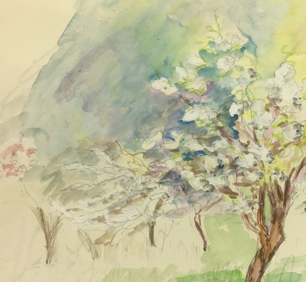 Trees Original Art - Verger, Etude Nature, C.1960