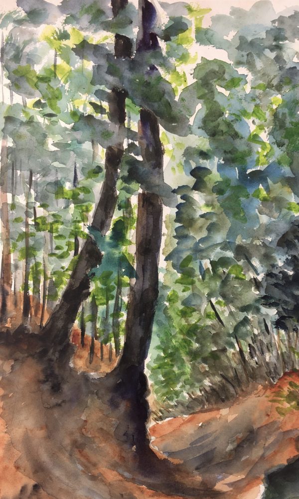 Trees Original Art - English Country, Janice Furth, C.1970