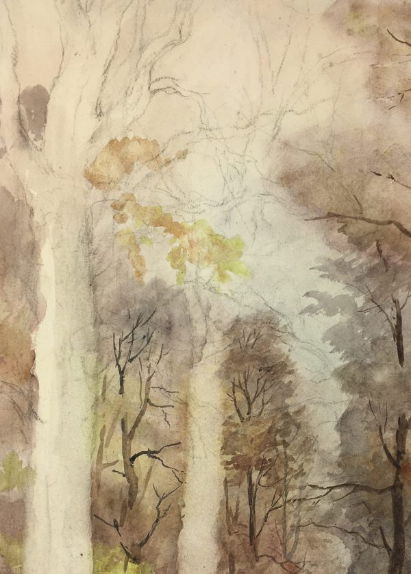 Trees Original Art - Forest Vision, C.1960