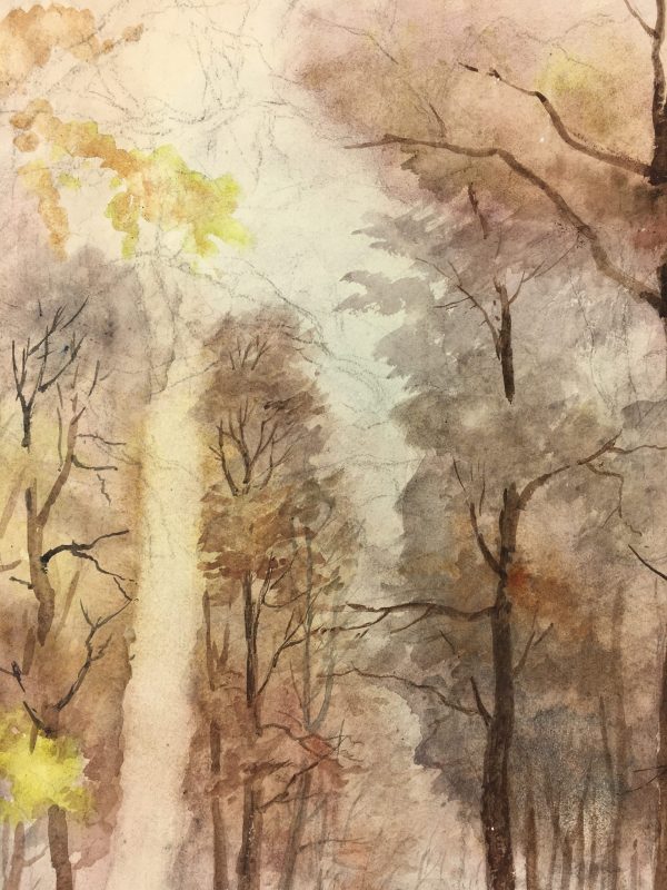 Trees Original Art - Forest Vision, C.1960