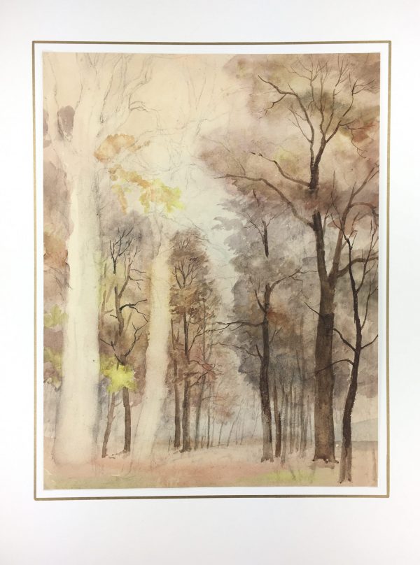 Trees Original Art - Forest Vision, C.1960