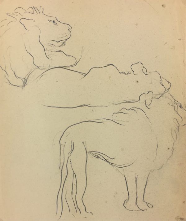 Animals Original Art - Lion Outlines, French, c. 1940