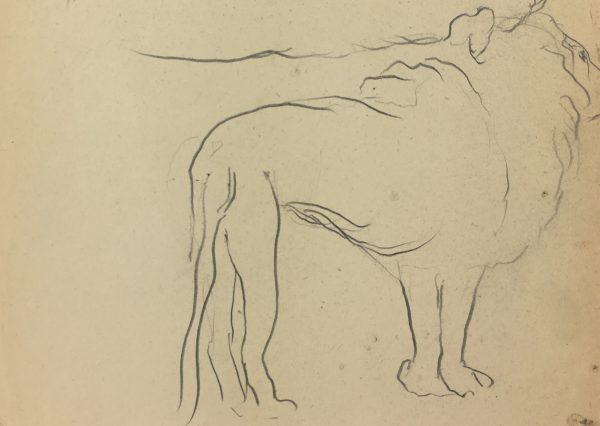 Animals Original Art - Lion Outlines, French, c. 1940