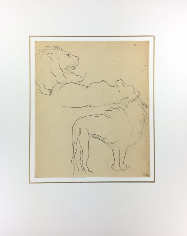 Animals Original Art - Lion Outlines, French, c. 1940