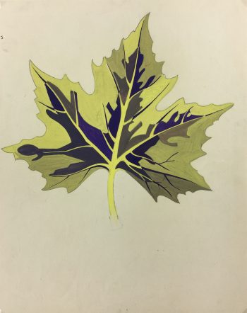 Flowers & Plants Original Art - Vibrant Leaf, French, c. 1950