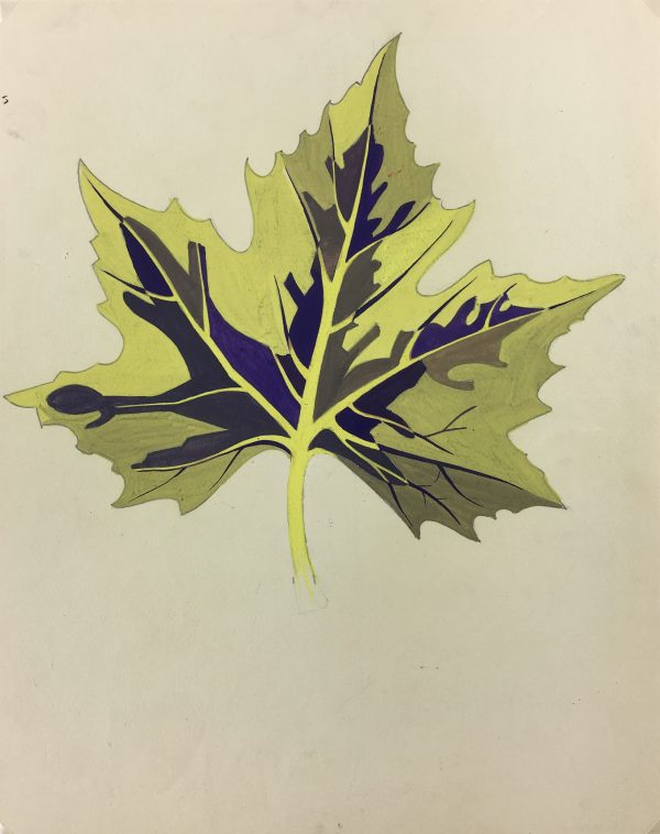 Flowers & Plants Original Art - Vibrant Leaf, French, c. 1950