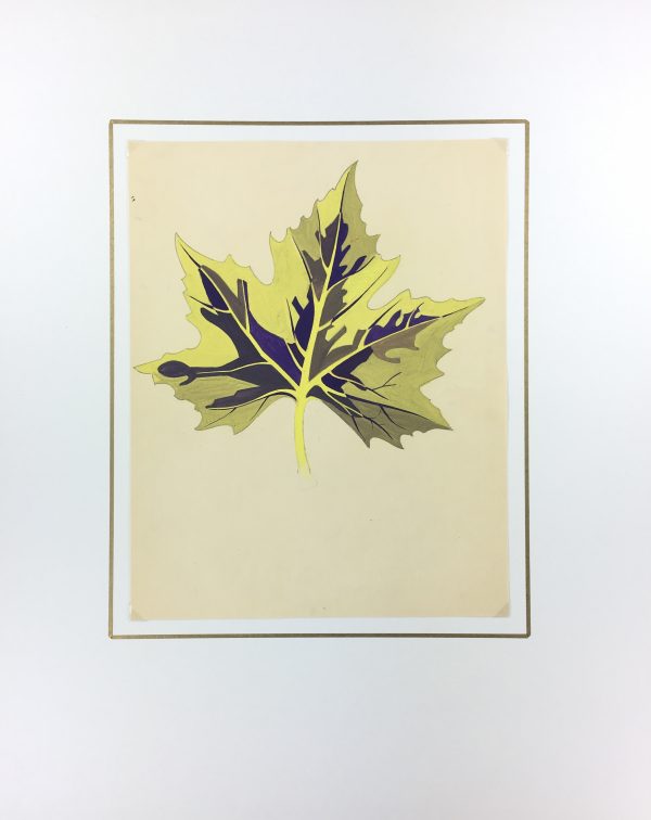 Flowers & Plants Original Art - Vibrant Leaf, French, c. 1950