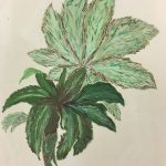 Flowers & Plants Original Art - Leaves, French, c. 1950