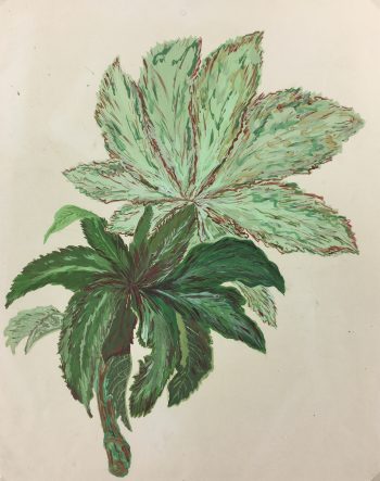 Flowers & Plants Original Art - Leaves, French, c. 1950