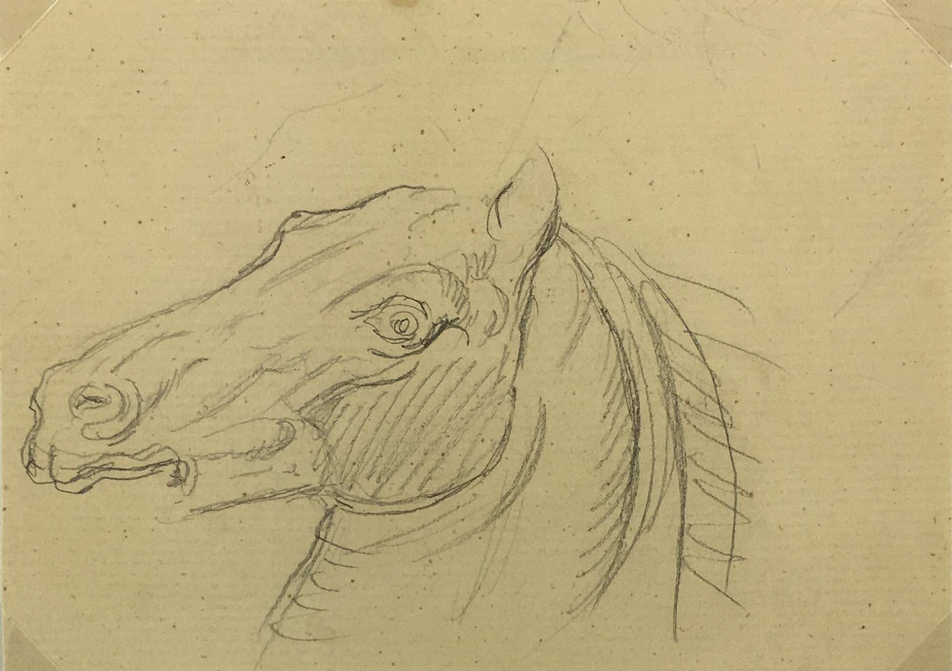 Animals Horses Original Art - Horse Sketch, French, c.1920