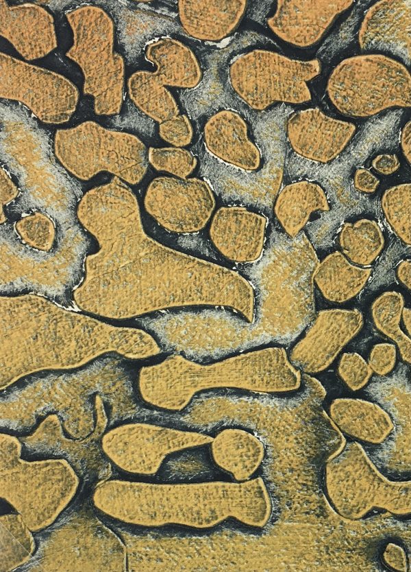 Modern  Original Art - Coral, Kismine Varner, c.1990