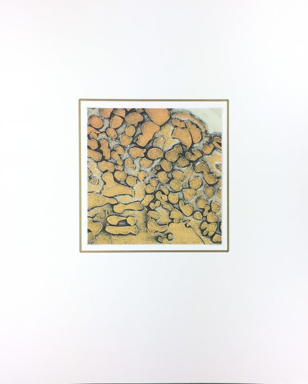 Modern  Original Art - Coral, Kismine Varner, c.1990