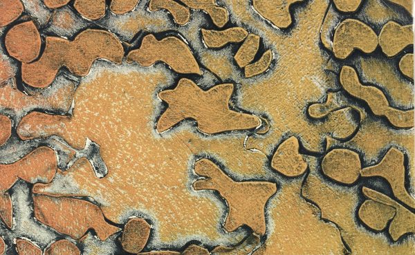 Modern  Original Art - Coral, Kismine Varner, c.1990