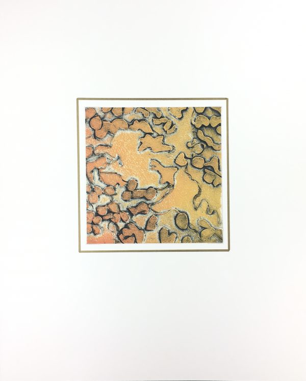 Modern  Original Art - Coral, Kismine Varner, c.1990