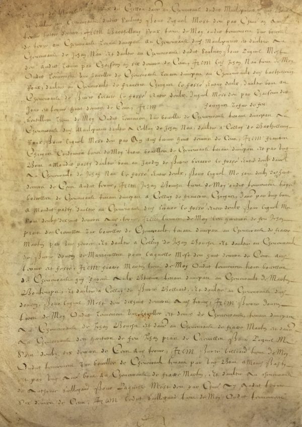 Manuscripts Original Art - French Manuscript, Vellum, c.1700
