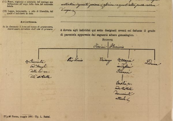 Manuscripts Original Art - Italian Manuscript, Succession, 1892