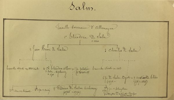 Manuscripts Original Art - Salm, Paris Genealogy, C.1865