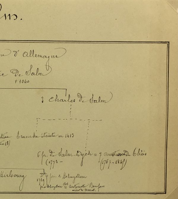 Manuscripts Original Art - Salm, Paris Genealogy, C.1865