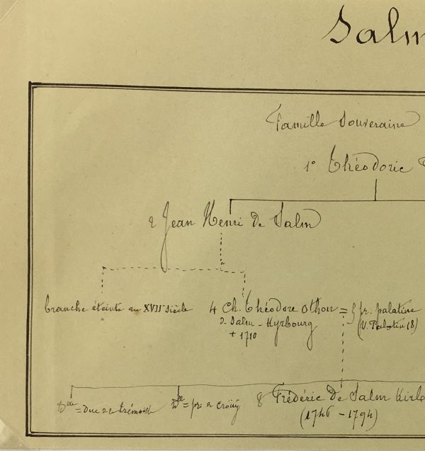 Manuscripts Original Art - Salm, Paris Genealogy, C.1865