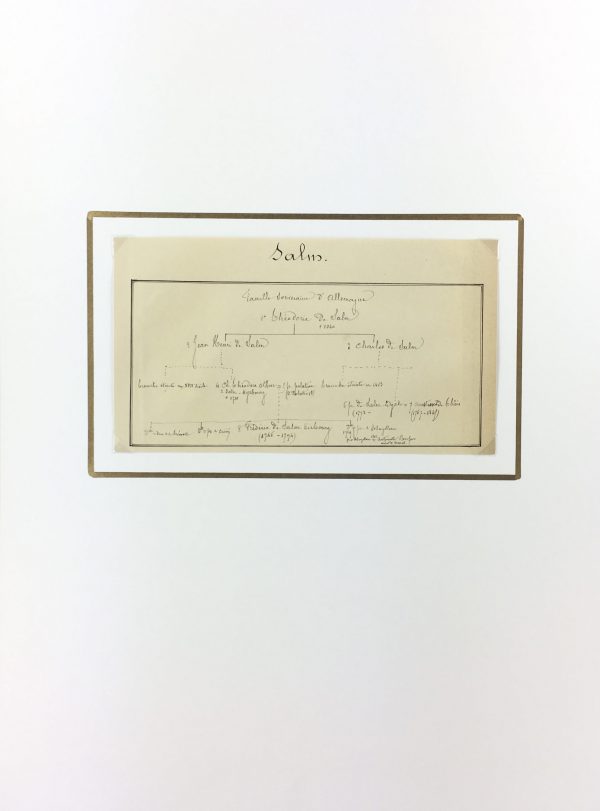 Manuscripts Original Art - Salm, Paris Genealogy, C.1865