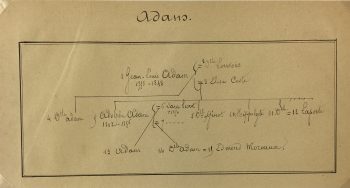 Manuscripts Original Art - Adam, Paris Genealogy, C.1865