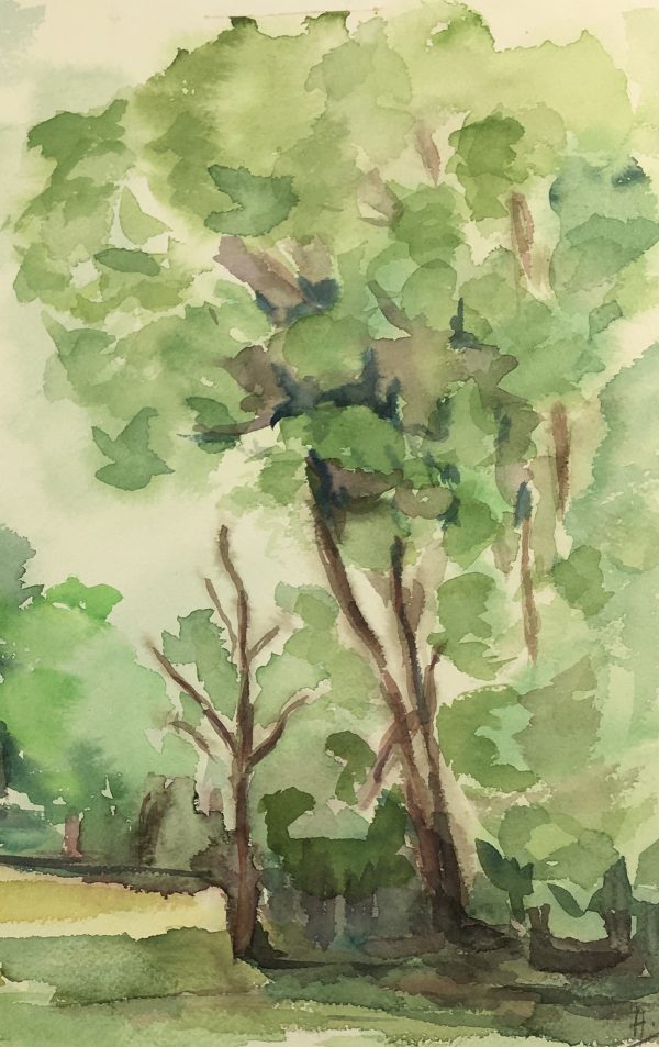 Rivers Original Art - Serene Trees, A.C., c. 1950