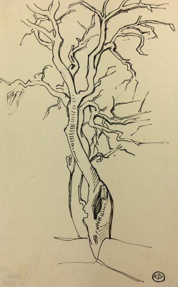 Trees Original Art - Tree Silhouette, H.T.V., c. 1940