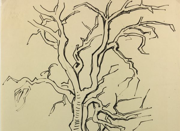 Trees Original Art - Tree Silhouette, H.T.V., c. 1940