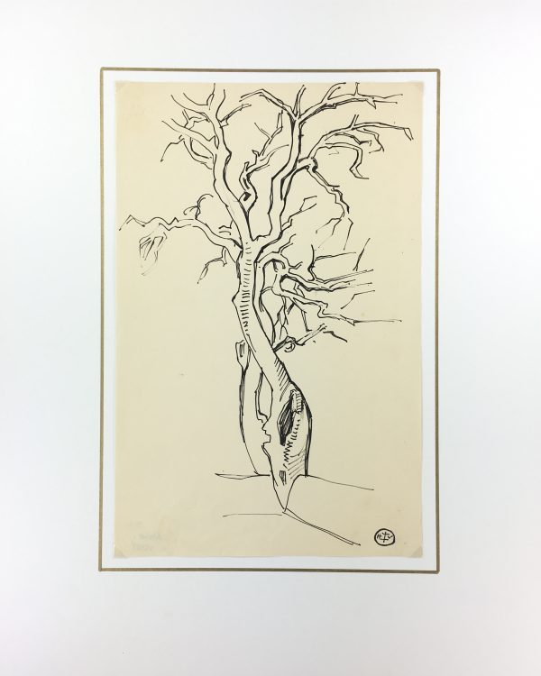 Trees Original Art - Tree Silhouette, H.T.V., c. 1940