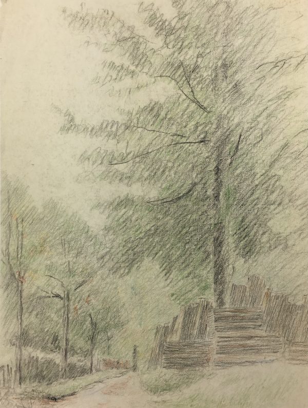 Trees Original Art - Tree Impression, Pencil, c. 1950