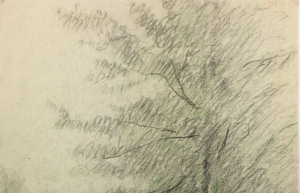 Trees Original Art - Tree Impression, Pencil, c. 1950