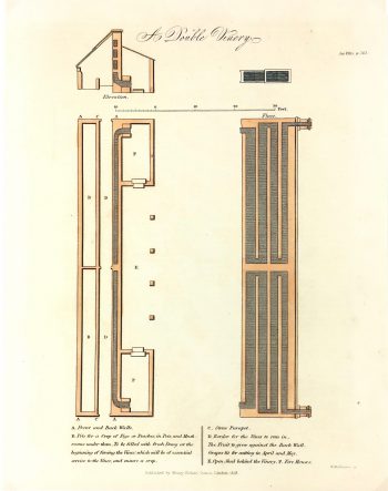 Botanical Print - Greenhouse, Henry Fisher, 1823
