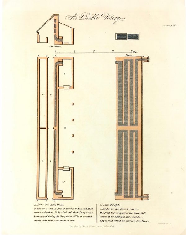 Botanical Print - Greenhouse, Henry Fisher, 1823