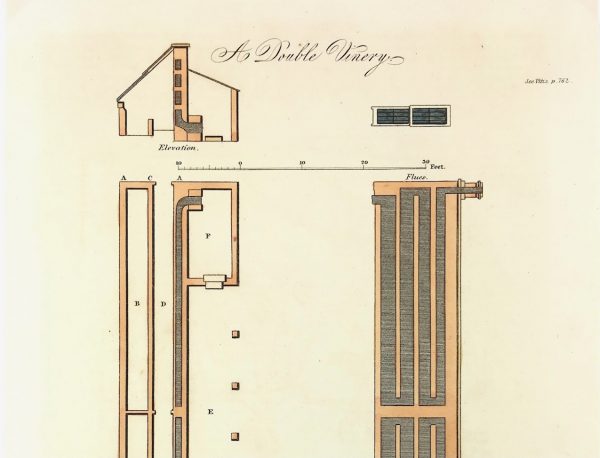 Botanical Print - Greenhouse, Henry Fisher, 1823