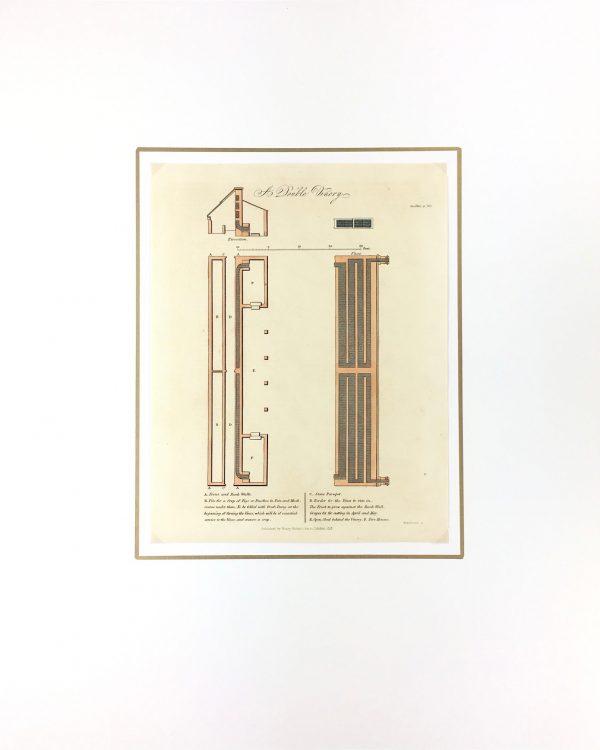 Botanical Print - Greenhouse, Henry Fisher, 1823