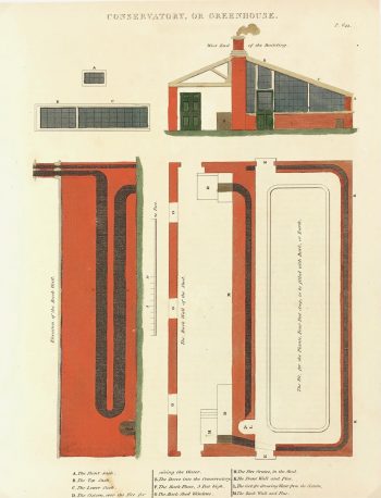 Botanical Print - Greenhouse, Henry Fisher, 1823