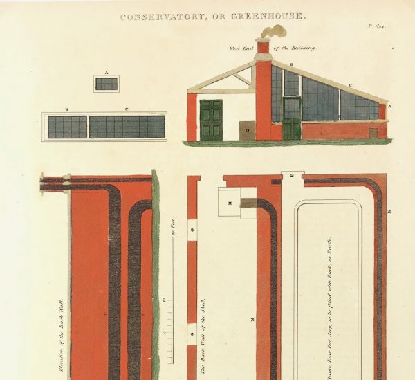 Botanical Print - Greenhouse, Henry Fisher, 1823