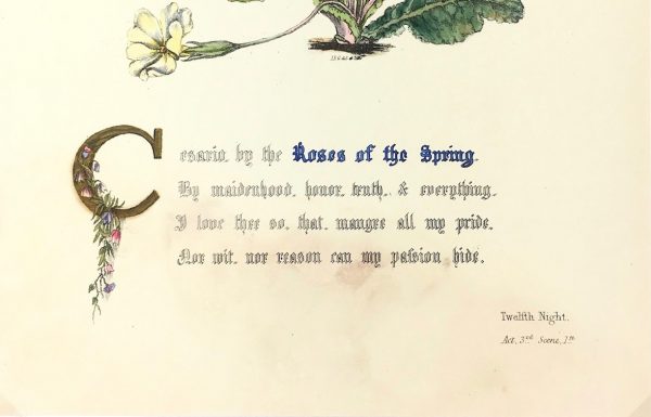 Botanical Print - Roses of the spring, Milton, 1846