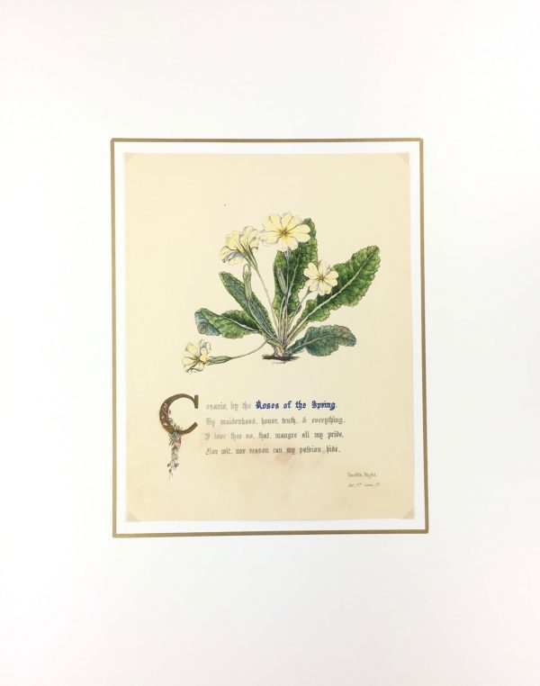 Botanical Print - Roses of the spring, Milton, 1846