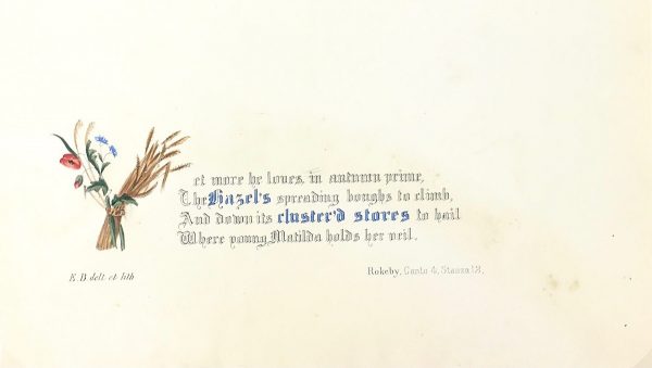 Botanical Print - Hazel, Milton, 1846