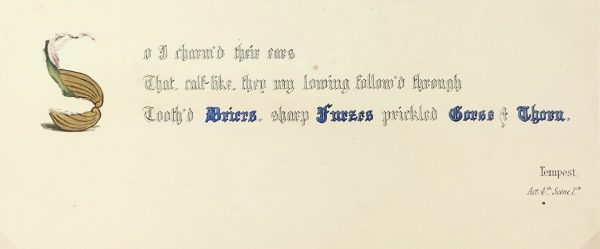 Botanical Print - Gorse and Thorn, Milton, 1846